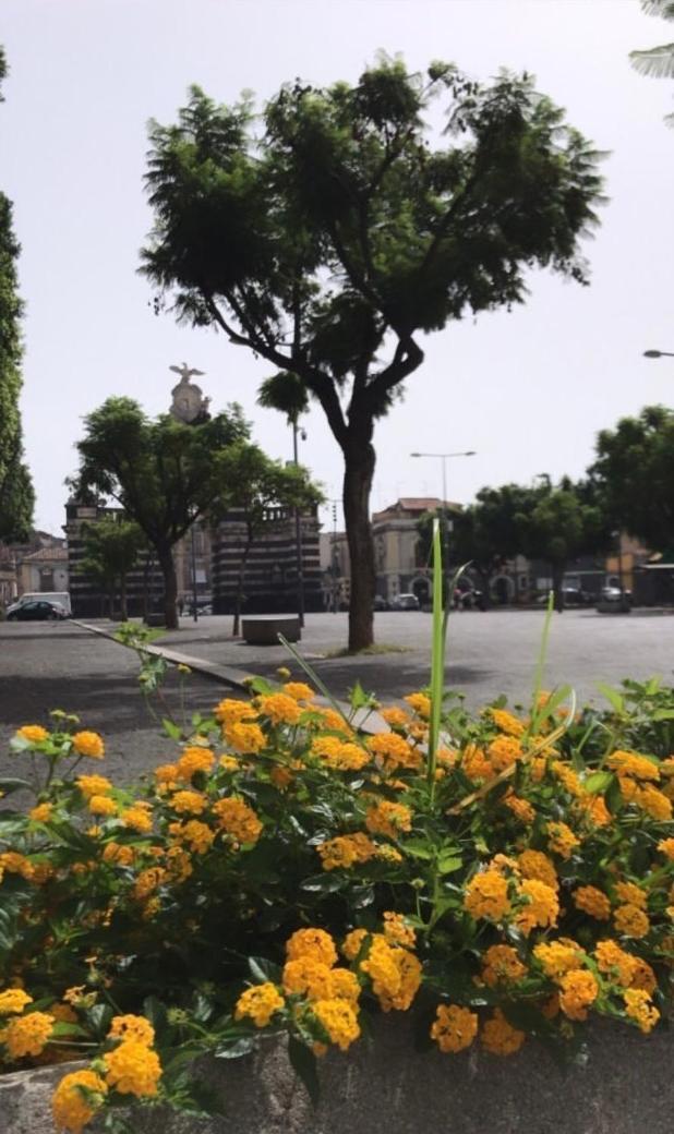 Il Fortino Apartment Catania Luaran gambar